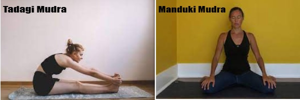 Tadagi Mudra & Manduki Mudra | Method, Benefits