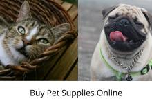 buy pet supplies online