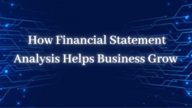 Financial Statement Analyzer