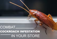 cockroaches specialist near me