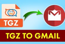 convert zimbra to gmail