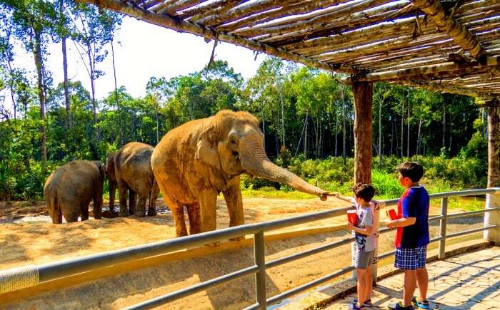 Private Zoo Tours & Animal Encounters Open in LA