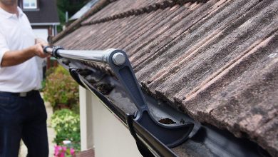 Clean Gutters on a Ladder